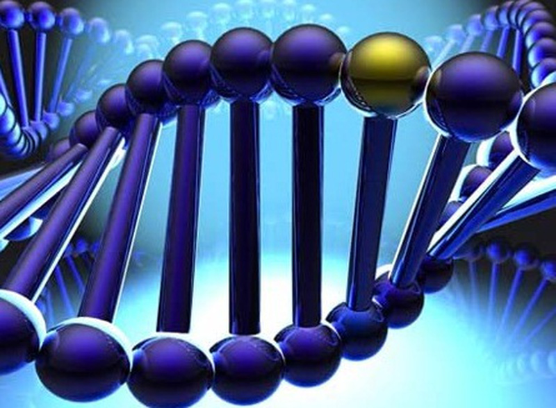 Rối loạn nhịp tim có chữa được không