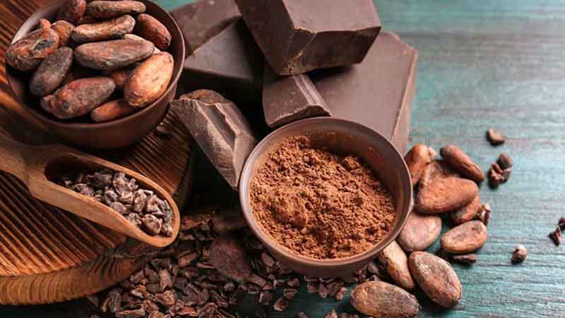 Tác dụng của cacao với sức khỏe con người như thế nào