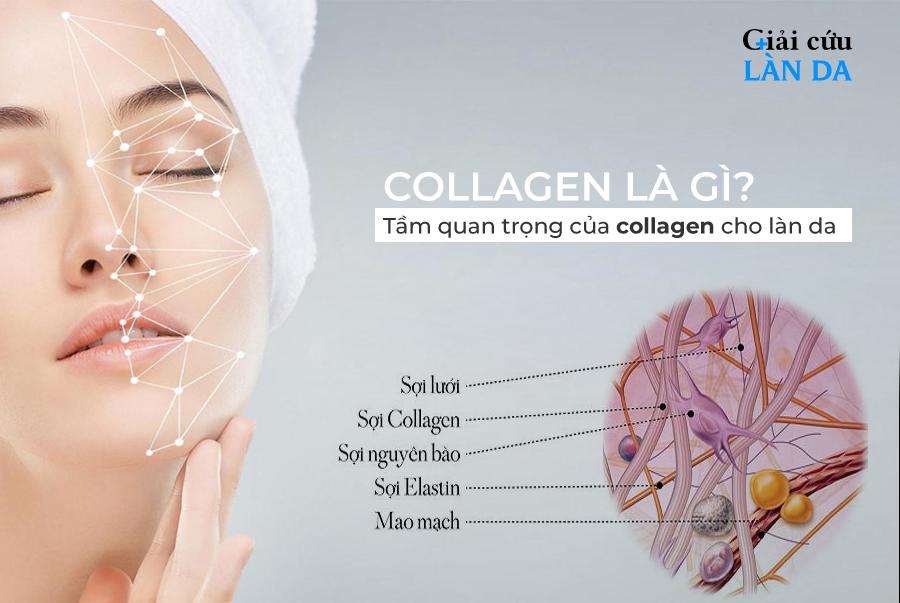 Tác dụng của collagen là gì và cách bổ sung ra sao