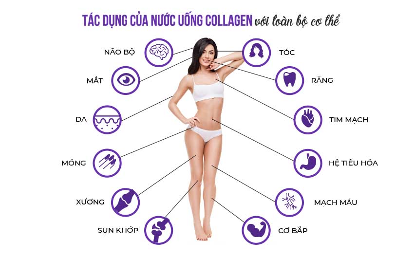Tác dụng của collagen là gì và cách bổ sung ra sao