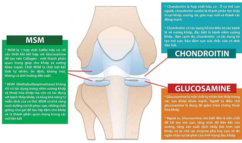 Tác dụng của Glucosamin với sức khỏe như thế nào