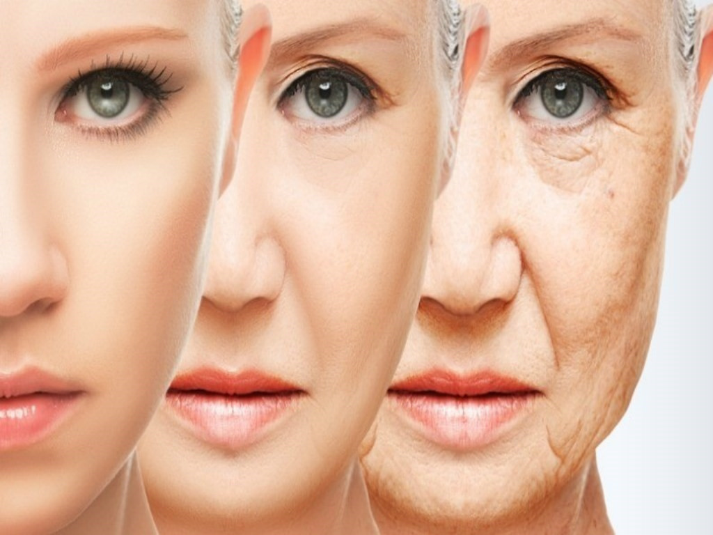 Tác dụng của lá đu đủ tươi với sức khỏe con người như thế nào
