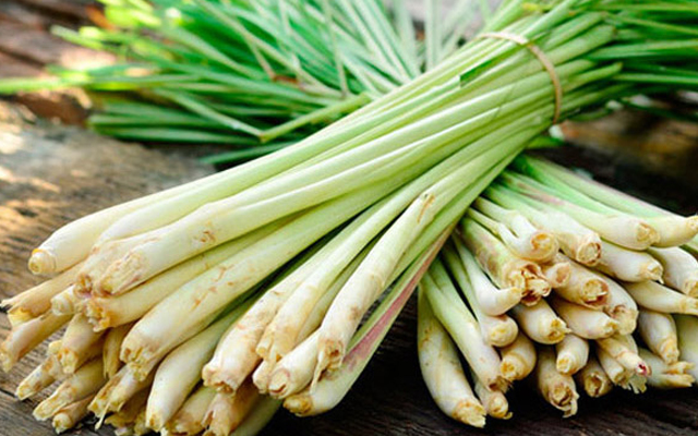 Tác dụng của lá đu đủ và sả như thế nào