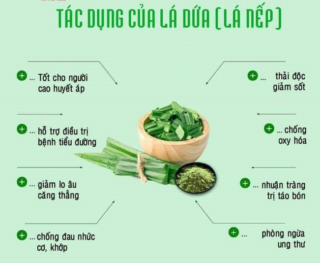 Tác dụng của lá dứa với bệnh tiểu đường như thế nào