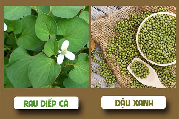 Tác dụng của rau diếp cá đối với da mặt như thế nào