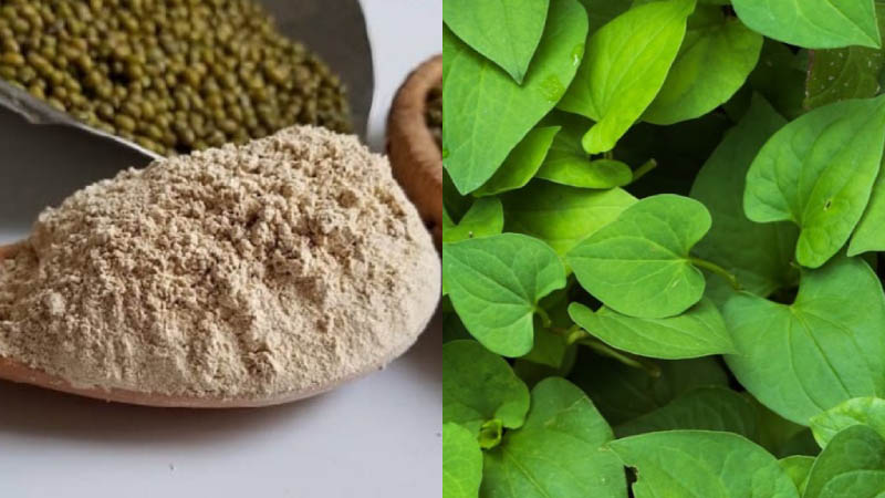 Tác dụng của rau diếp cá với da mặt như thế nào