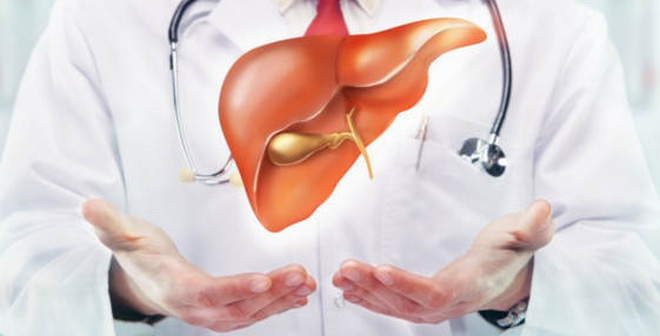 Tác dụng của sữa ong chúa tươi như thế nào