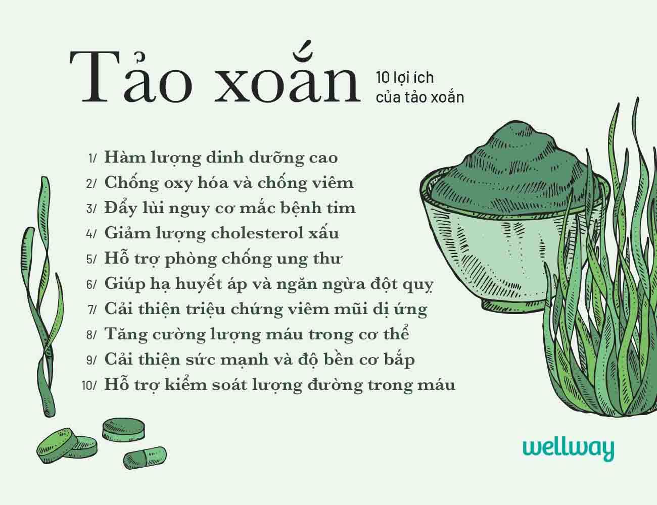 Tác dụng của tảo xoắn với sức khỏe con người như thế nào