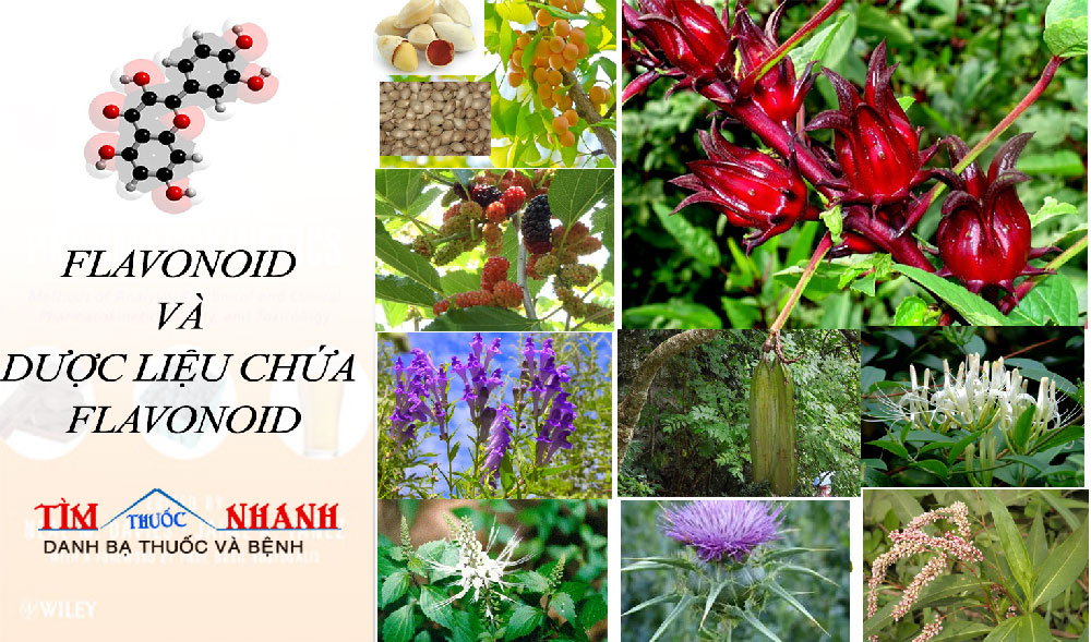 Tác dụng sinh học của flavonoid