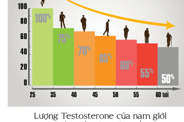Testosterone khẳng định bản lĩnh phái mạnh