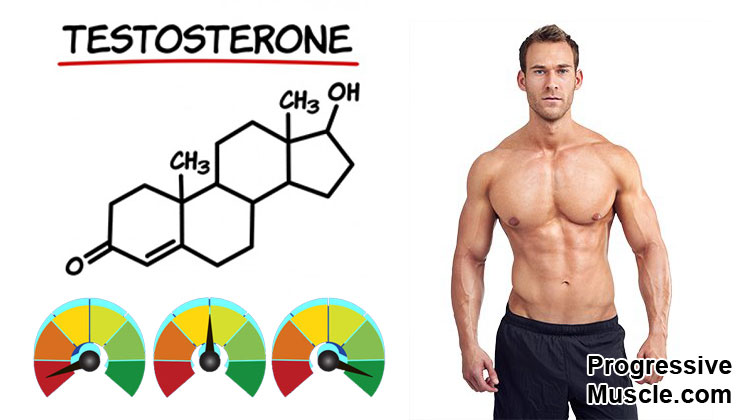 Testosterone và khẳng định bản lĩnh đàn ông