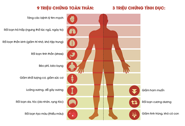 Testosterone và khẳng định bản lĩnh đàn ông