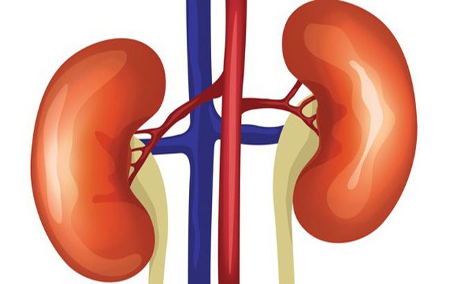 các bệnh về thận
