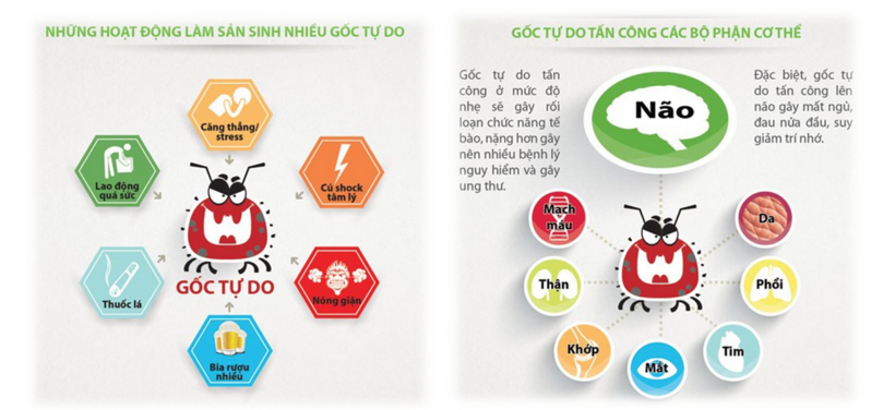 Thực phẩm bẩn - lạm dụng thuốc - ô nhiễm - nguyên nhân bệnh lý gan, thận, phổi
