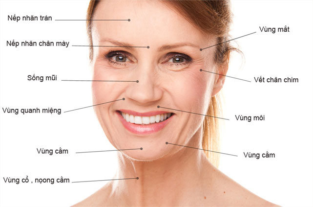 Thực phẩm chống lão hóa mắt an toàn hiệu quả