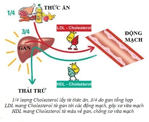 Thực phẩm chức năng tốt cho gan nên dùng loại nào