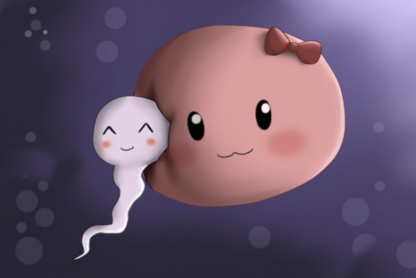 Thực phẩm tốt cho tinh trùng và trứng an toàn hiệu quả