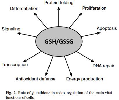 Thuốc Bi-GMAX 1350 - Tăng cường miễn dịch, làm trắng da tự nhiên, trị nám