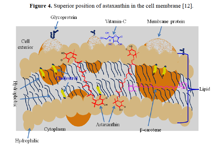 Thuốc Bi-GMAX 1350 - Tăng cường miễn dịch, làm trắng da tự nhiên, trị nám