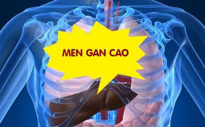 Thuốc chữa men gan cao tốt nhất hiện nay