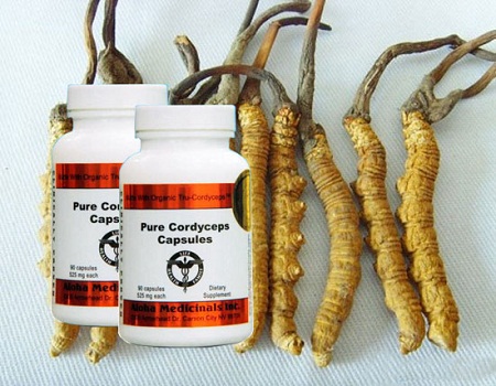 Đông trùng hạ thảo cordyceps 950