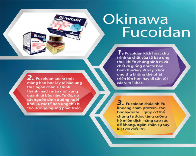 Tác dụng của Fucoidan như thế nào