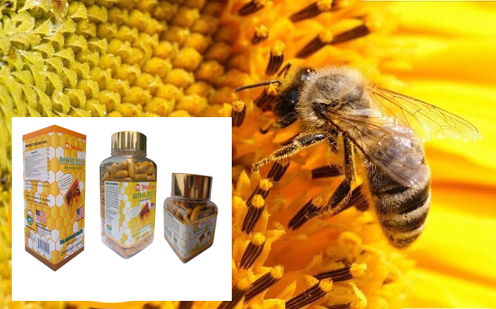 Thuốc sữa ong chúa của Mỹ loại nào tốt