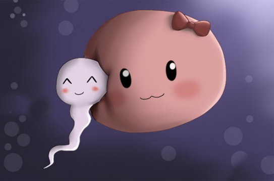 Thuốc tăng chất lượng tinh trùng và khả năng thụ thai tốt nhất hiện nay