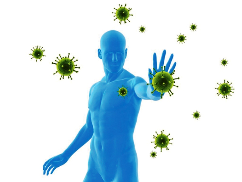 Flavonoid có tác dụng gì với sức khỏe con người