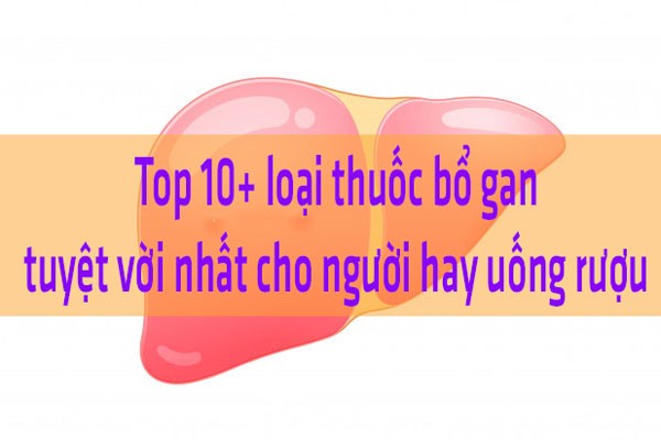 Thuốc tiêu độc gan tốt nhất và cách dùng thuốc hiệu quả