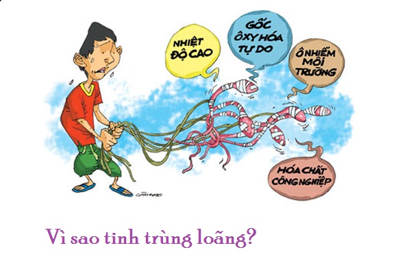 tinh trùng loãng phải làm sao bạn có biết