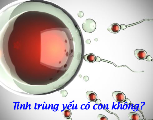 Tinh trùng yếu có con không và cách khắc phục