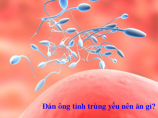 Đàn ông tinh trùng yếu nên ăn gì cho khỏe hơn
