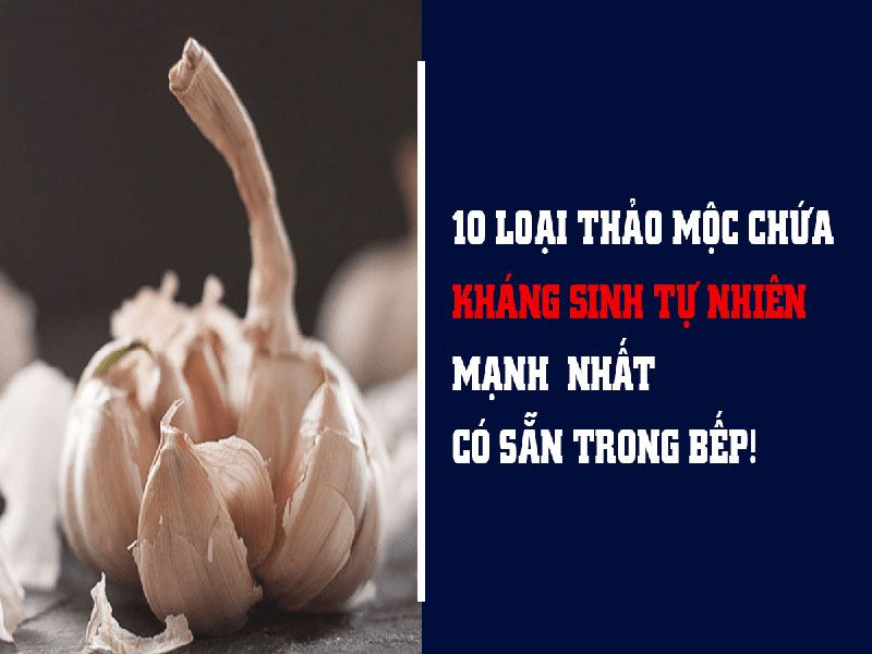 Tỏi chữa ung thư như thế nào