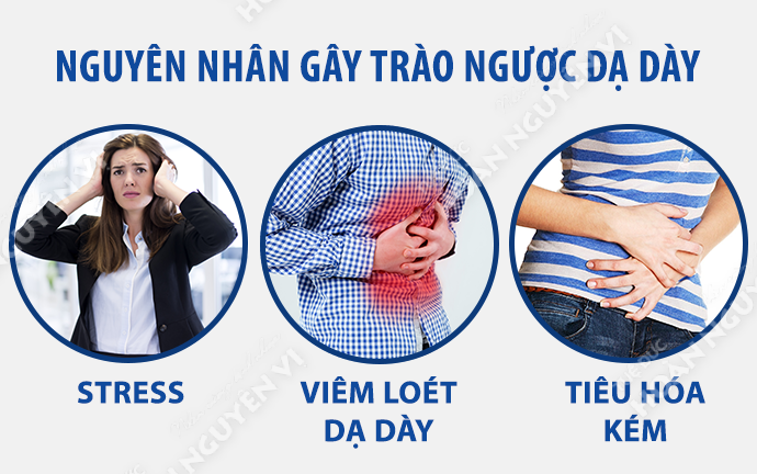 trào ngược dạ dày nên ăn gì tốt nhất