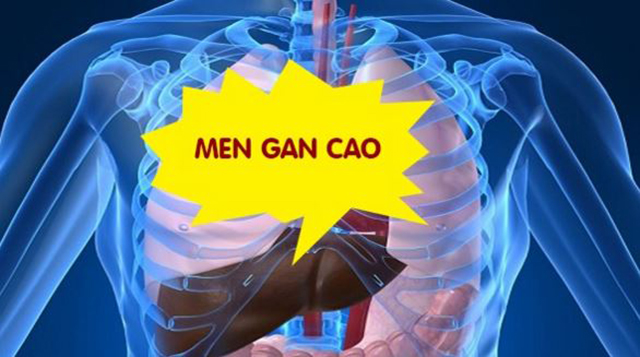 Triệu chứng men gan cao là gì và cách điều trị bệnh
