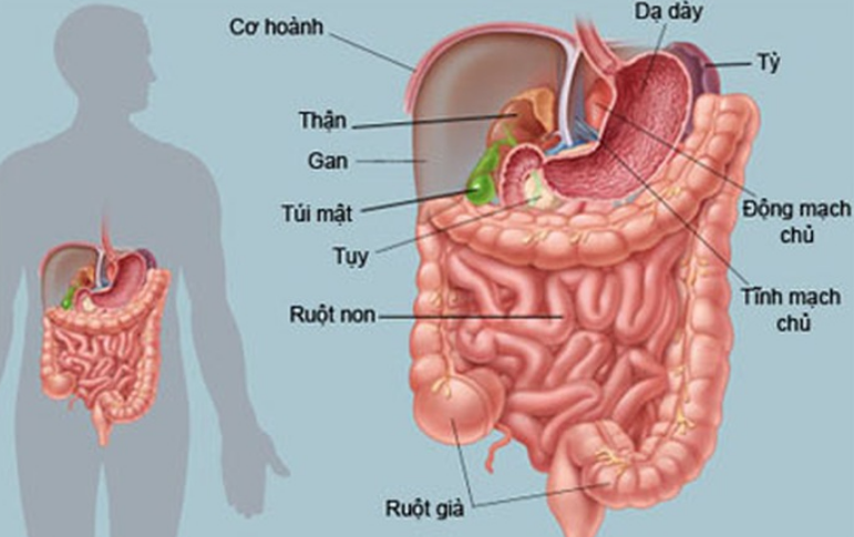 Ung thư buồng trứng giai đoạn cuối như thế nào