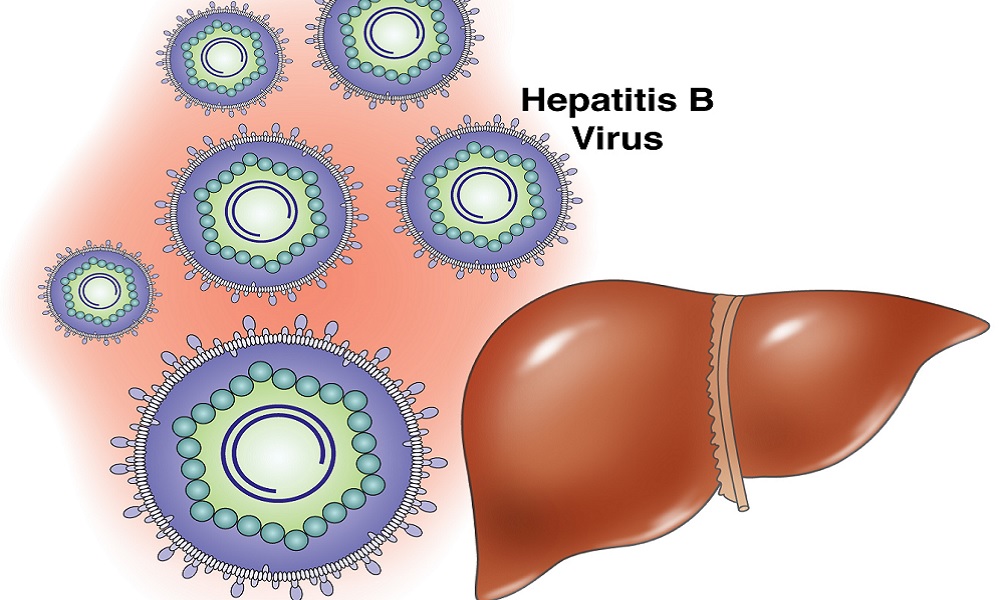 viêm gan b có lây qua đường ăn uống không và cách phòng bệnh