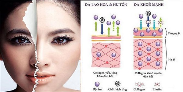 Viên uống collagen có tốt không và uống như thế nào