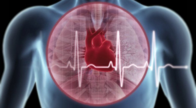 Viên uống sữa ong chúa của Mỹ an toàn hiệu quả