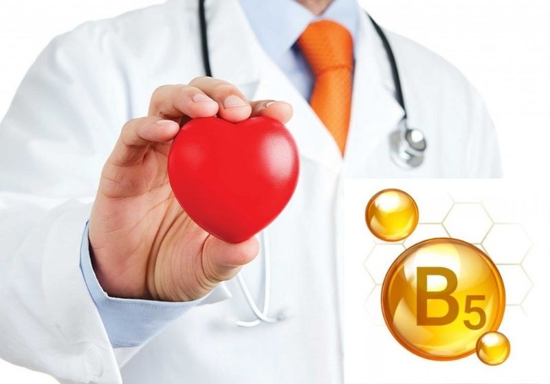 Vitamin b5 có tác dụng gì với sức khỏe con người