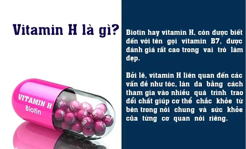 Vitamin h có tác dụng gì với sức khỏe con người