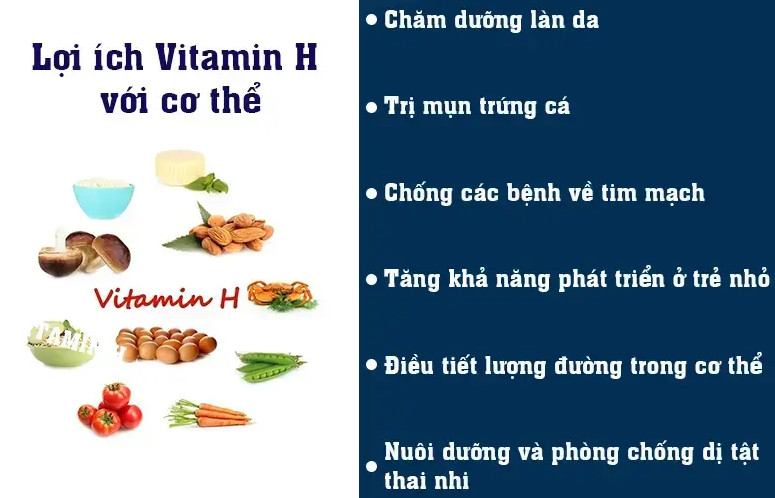 Vitamin h có tác dụng gì với sức khỏe con người