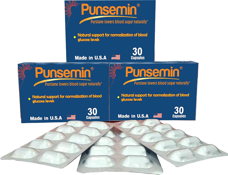 Punsemin - Xua tan nỗi lo bệnh lý tiểu đường