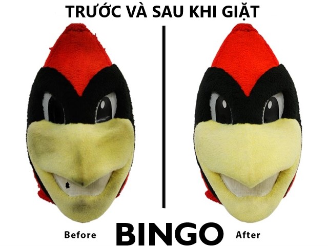 làm sạch mascot