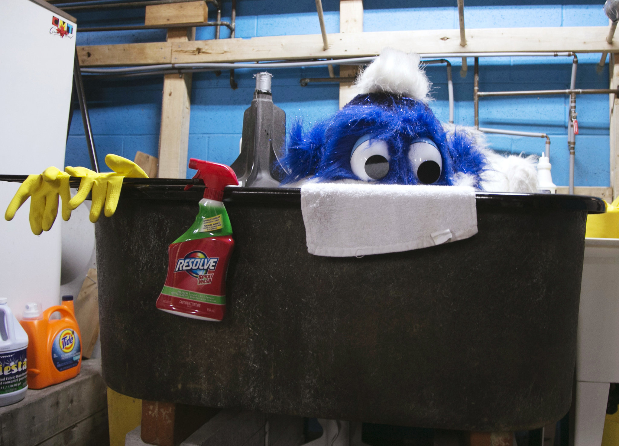 giặt mascot
