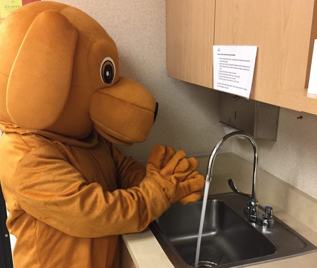 mascot chó
