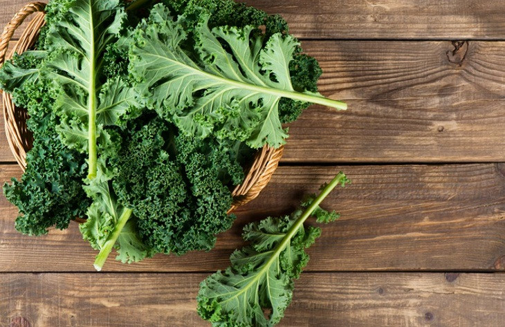 Tìm hiểu nguồn gốc và lợi ích của bột cải xoăn kale Nhật