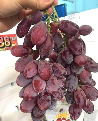 Hệ