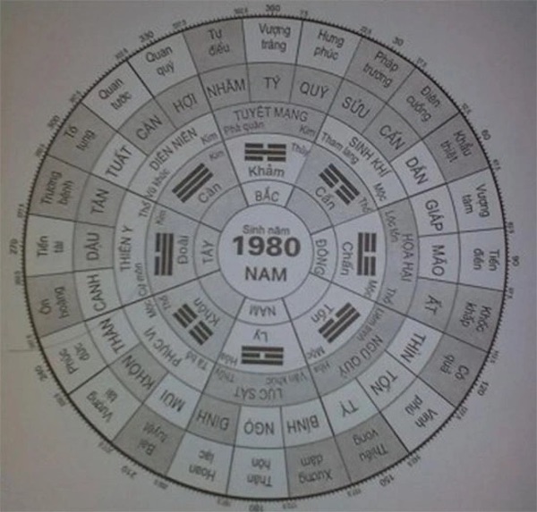 Bát trạch đồ tử vi năm sinh 1980 (Nam)